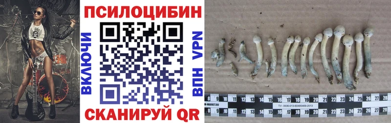 Галлюциногенные грибы GOLDEN TEACHER  купить закладку  mega зеркало  Ярцево 